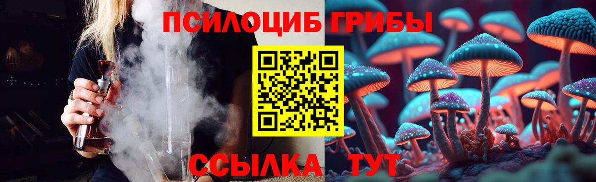 Псилоцибиновые грибы Cubensis  Вход с VPN  Старый Оскол 